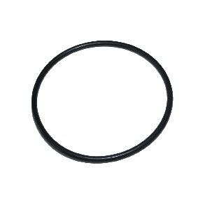 O-Ring 45,0x2,0 Aquarius 1200/1800/2500 / Aquasolar 1500