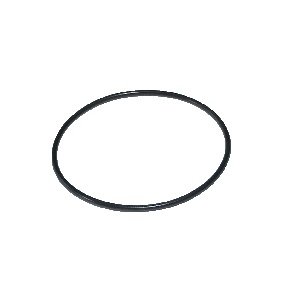 O-Ring 30x1 fr Viton 80